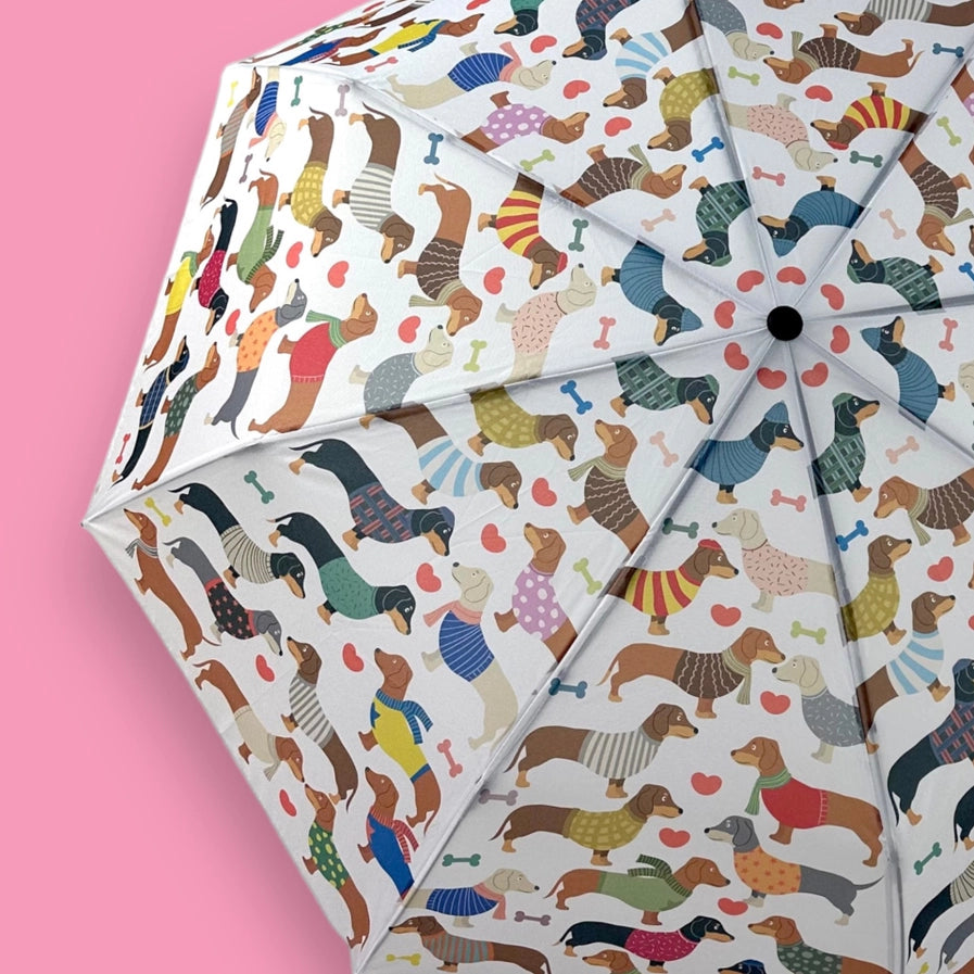 cute dachshunds umbrella  closeup