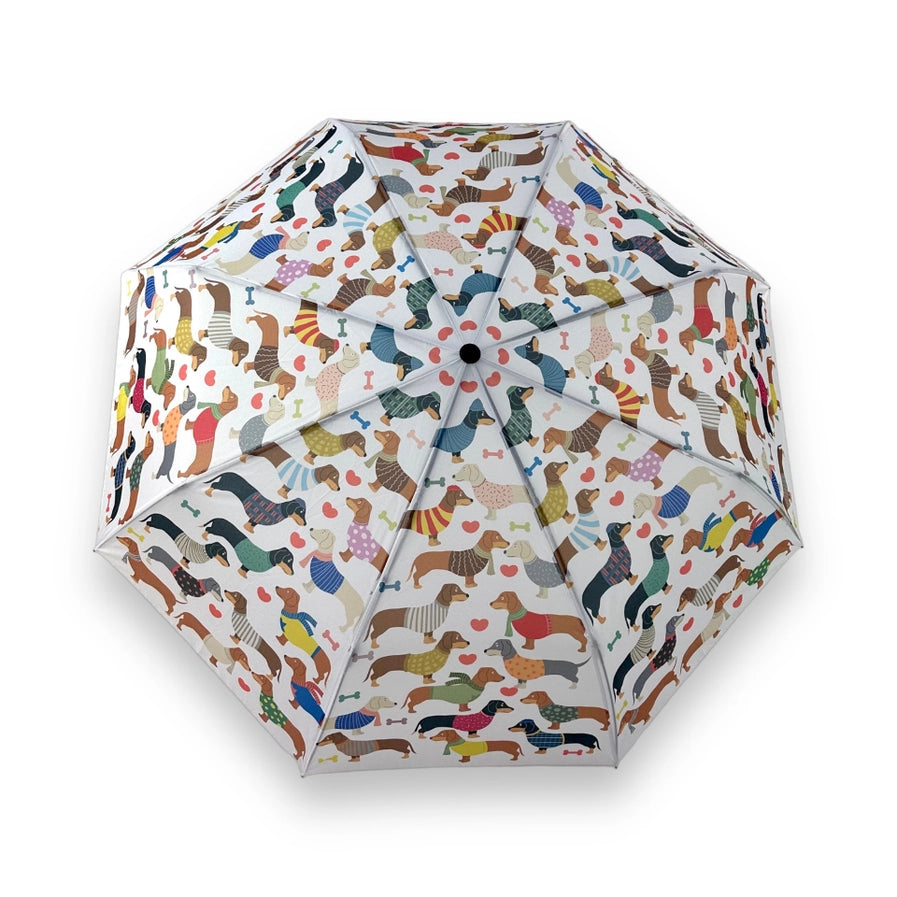 dachshunds umbrella
