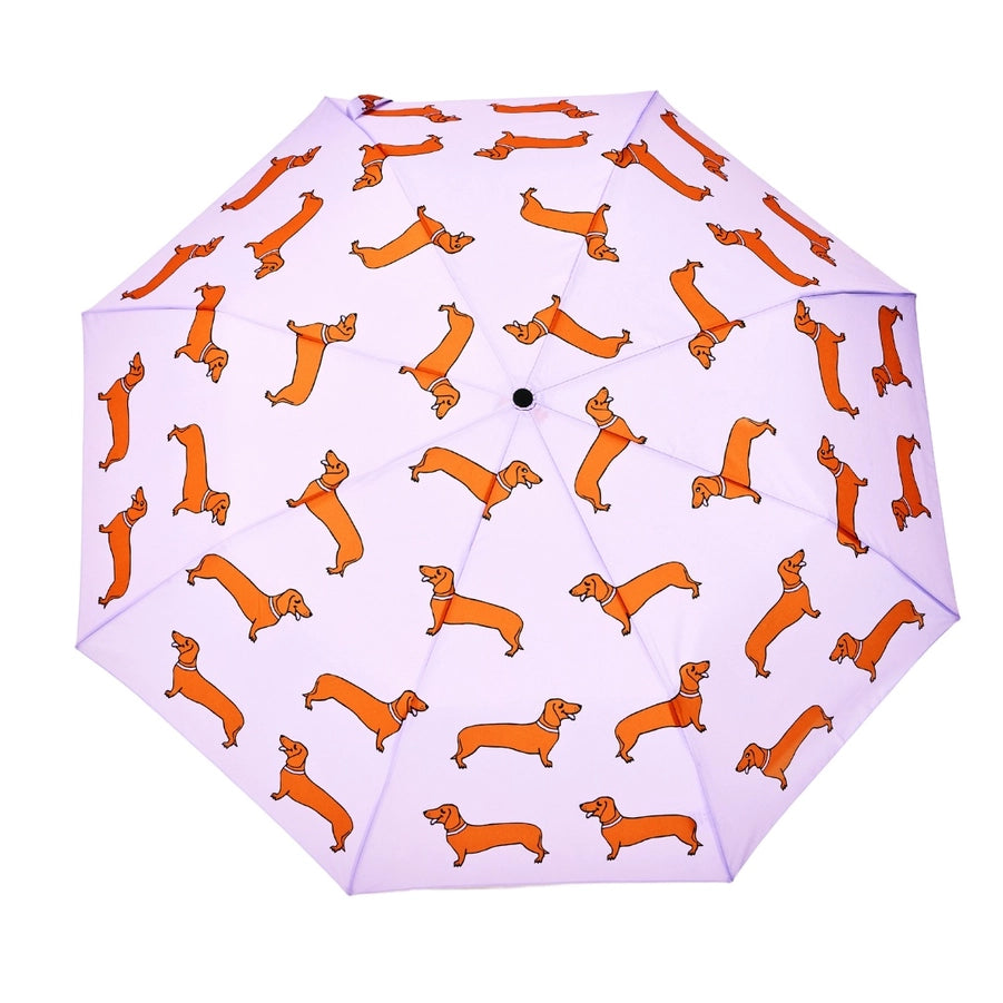 cute dachshund dog umbrella