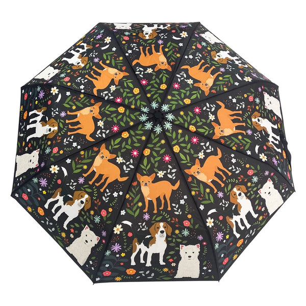 adorable dogs umbrellas