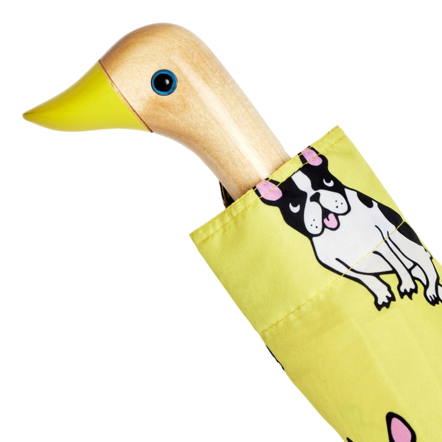 duckhead frenchie umbrella