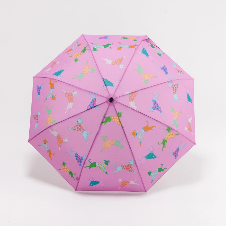 whippet dogs pink umbrella