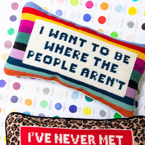funny introvert needlepoint pillow
