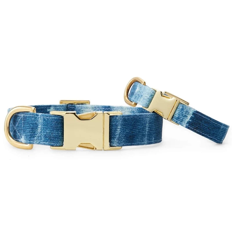 blue print dog collar