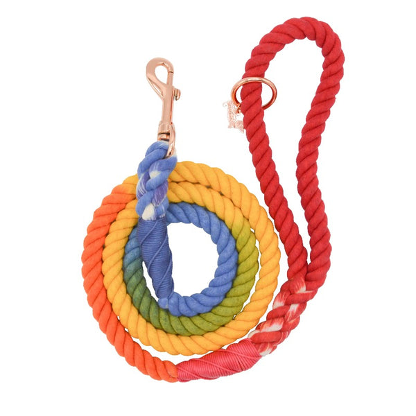 rainbow rope dog leash